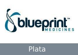 plantilla-plata-blue